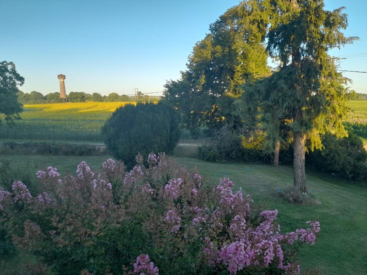Chateau Ardilleux Екстер'єр фото